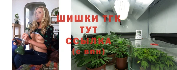 прущий лед Каменка